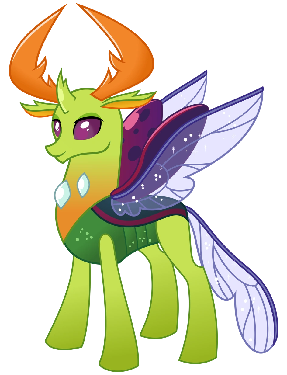 Thorax